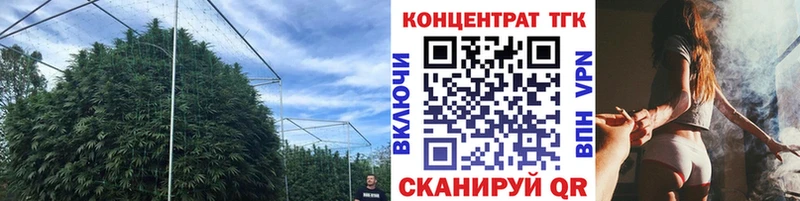 blacksprut маркетплейс Вязьма Дистиллят ТГК концентрат