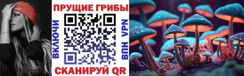 Псилоцибиновые грибы MAGIC MUSHROOMS  Вязьма 
